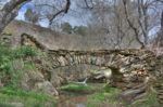 Puente de Solacamara II